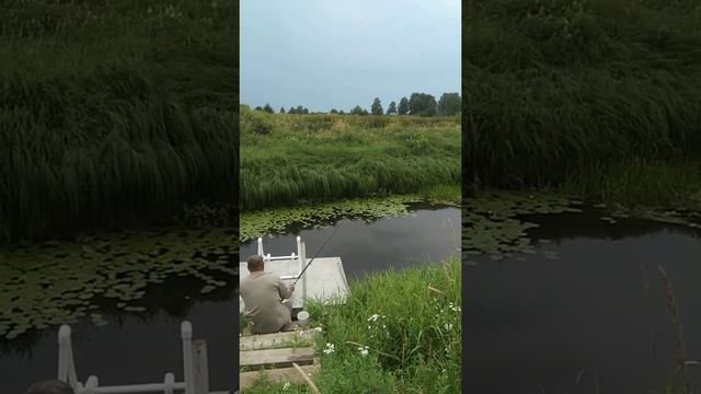 Река Великая. смотреть онлайн