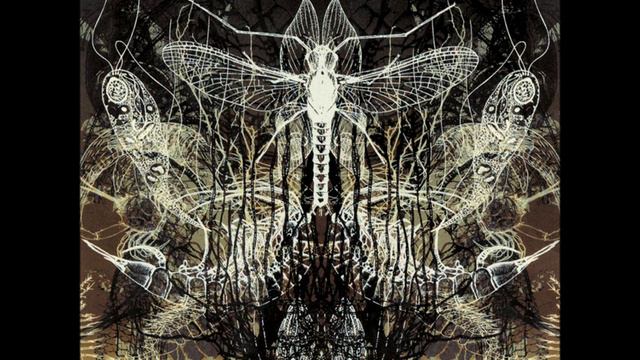 Architects - Save Me смотреть онлайн