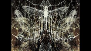 Architects - Save Me