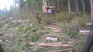 будни оператора харвестера VOLVO