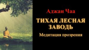 Аджан Чаа. Тихая лесная заводь. Медитация прозрения