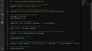 cve exploit