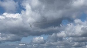 Стрижи в Чебоксарах 😊👍👍