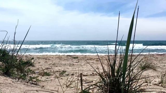 Беляус этой весной или «Крымские Мальдивы» часть 2. смотреть онлайн