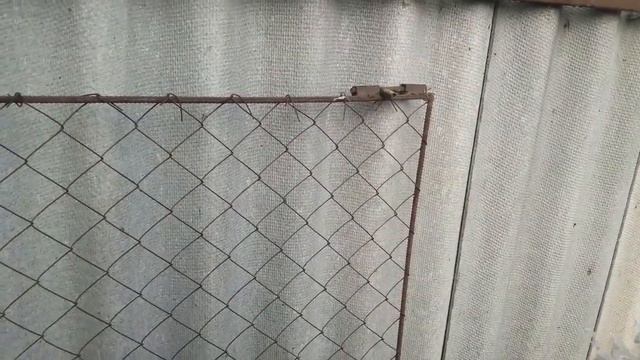 Забой ощипывание Индюка одному человеку смотреть онлайн