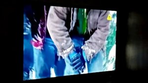 Семья из леса