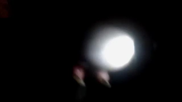 Проверка гусиных яиц на оплод - выключаем свет и смотрим смотреть онлайн