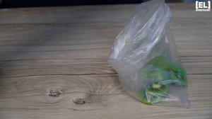 Мороженое из Банана Фруктовое Мороженое Мороженое без Молока Домашнее Мороженое Щербет