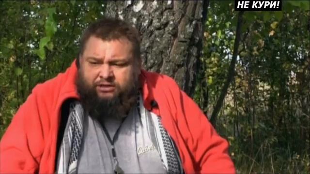 О породе собак Эпаньоль бретон и Русский охотничий спаниель . 2018