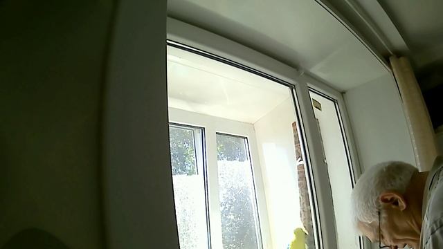 Рулонная штора: как правильно собрать и установить. Крепление к окну.