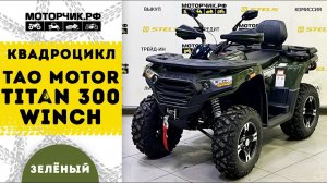 Квадроцикл Tao Motor Titan 300 Winch EFI (Зеленый)