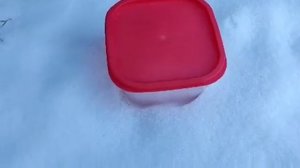 Умирают ли тараканы на морозе?#СанконтрольКрасноярск