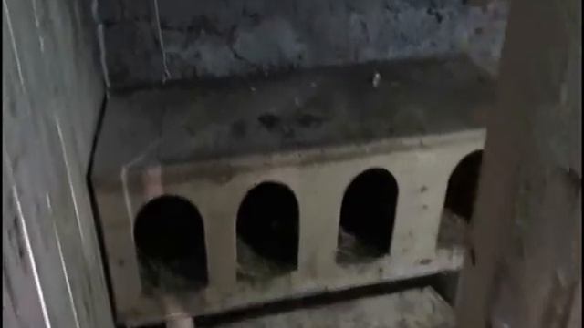 Подсветка куриных гнезд своими руками смотреть онлайн