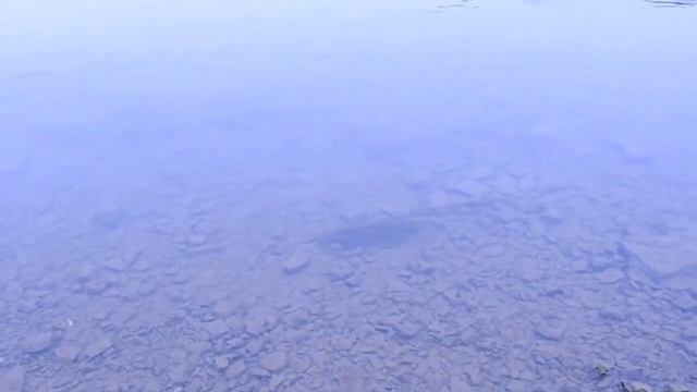 Карма плохая из прошлых жизней и этой . Как исправлять?               Ответ : От Аватара Саи Бабы.