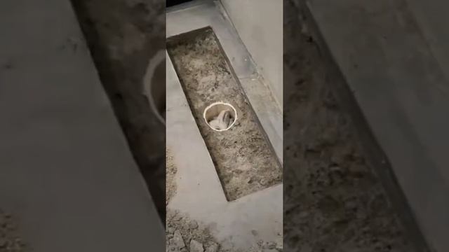 How to install shower channel drain ,linear shower drain installation #plumber #drain #plumber смотреть онлайн