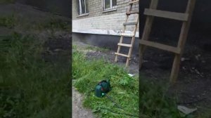 Как помыть окна с решетками в доме с высоким фундаментом