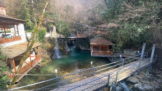 Эвкалиптовая роща смотреть онлайн