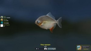 паку призрак, редкая рыба, игра Трофейная Рыбалка 2, река Амазонка.mp4