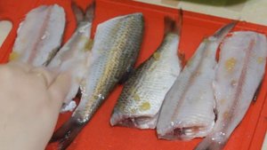 ОЧЕНЬ ВКУСНАЯ ЖАРЕНАЯ ТАРАНЬ!!!! КАК БЫСТРО ПОЧИСТИТЬ РЫБУ