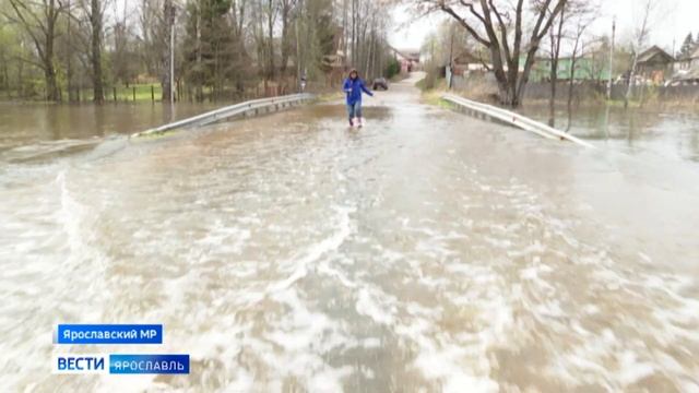 В Ярославской области из-за паводка разворачивают пункты временного размещения смотреть онлайн