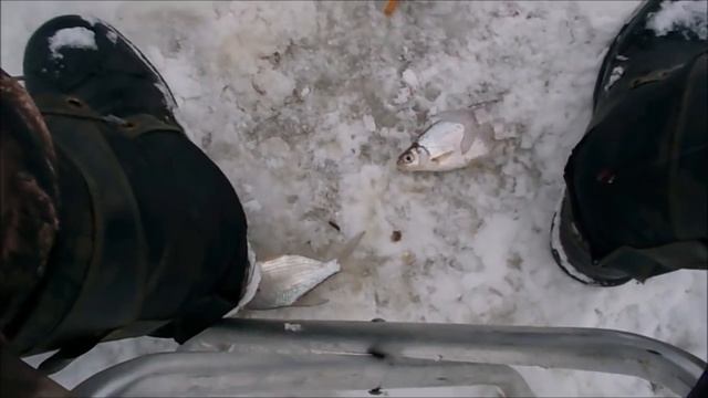 Ловим подлещиков в Усть-нытве! №36 смотреть онлайн