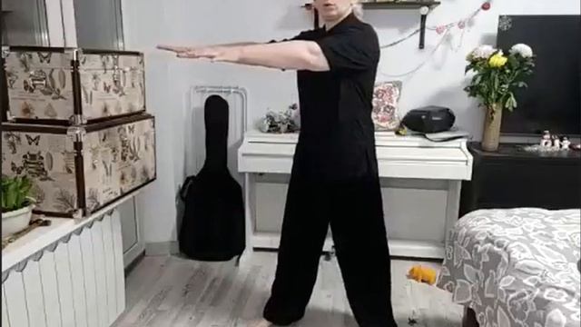 О циркуляции инь и ян.Д.Сергеева смотреть онлайн