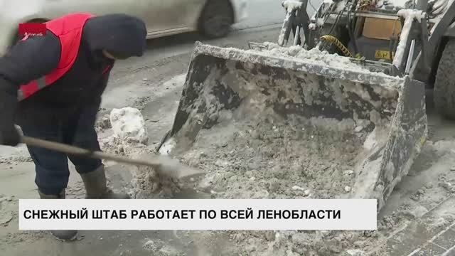 Снежный штаб работает по всей Ленобласти