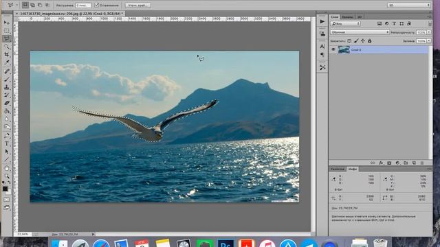 Как вырезать объект с фото за 2 клика - Фотошоп для чайников смотреть онлайн