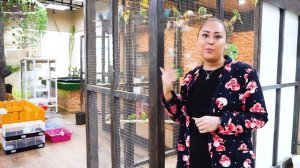 Волнистые попугаи: особенности, характер, уход