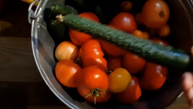 ЦЕЛЫЙ ДЕНЬ ЗАГОТОВКИ ВЫПЕЧКА И ВКУСНЯШКА ИЗ КАБАЧКА