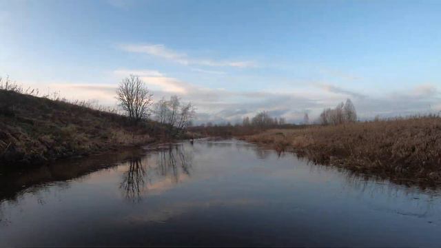 река Сеньга в среднем течении (окт2019)