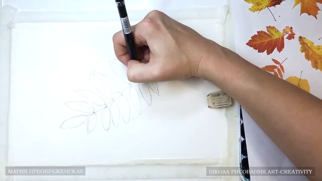 3 2 Рябина рисунок смотреть онлайн