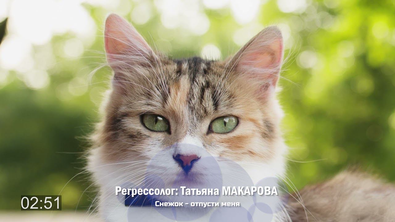 Снежочек | Фрагмент сеанса регрессии Татьяны Макаровой