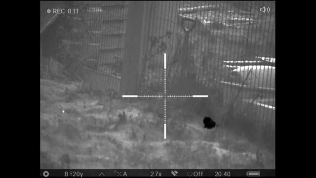 Rat control with pulsar axion xq38, trail xq50 and FAC fx streamline смотреть онлайн