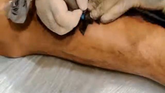 make pain tattoo смотреть онлайн