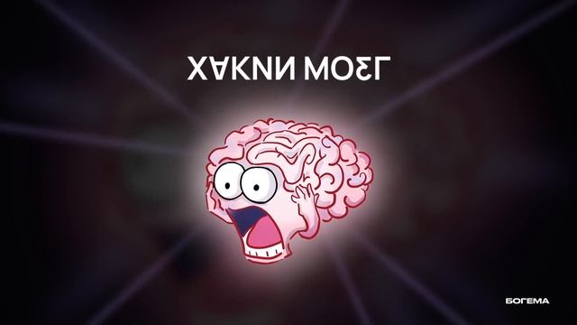 Как и почему мы выбираем то, что нам будет нравиться? Специальный эпизод // Подкаст «Хакни Мозг»