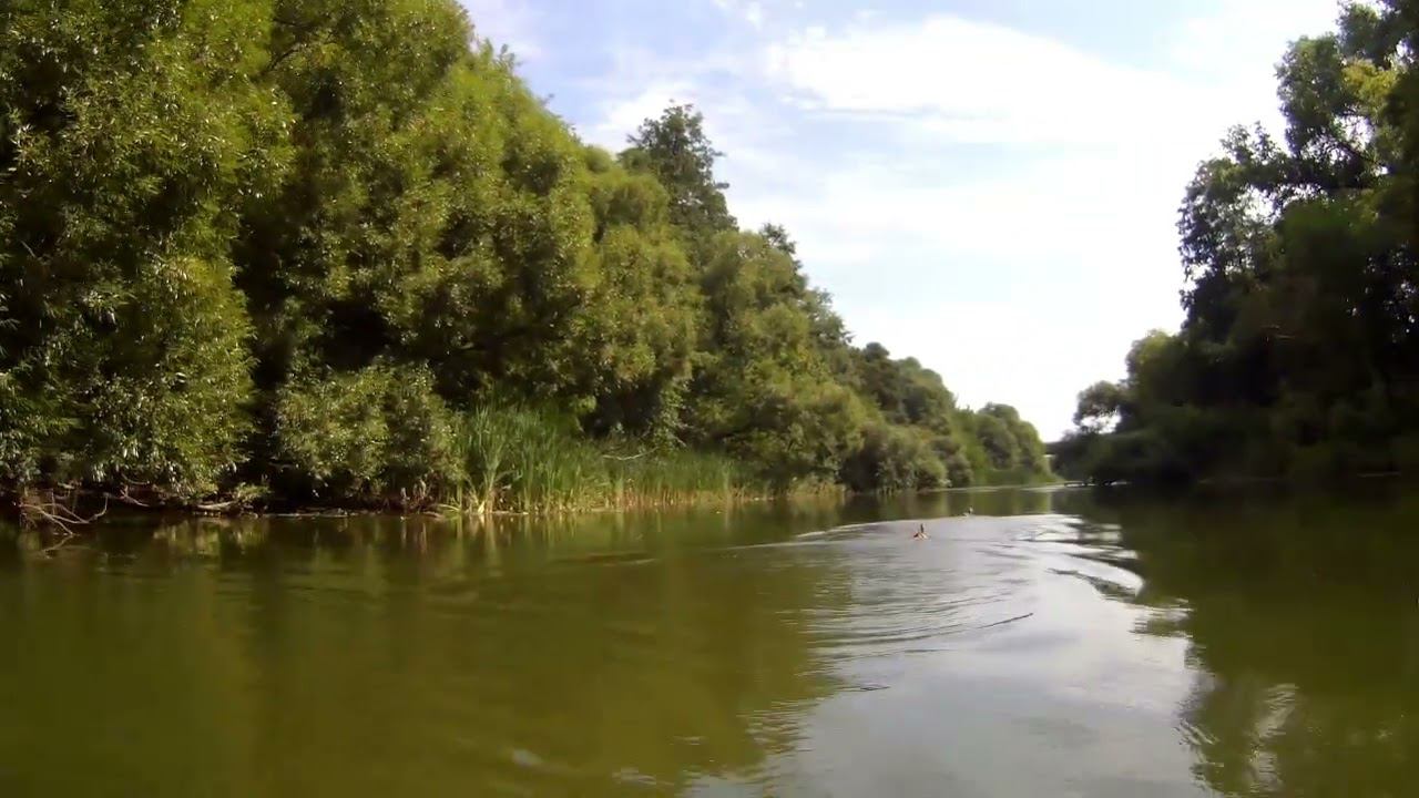 Утки смотреть онлайн