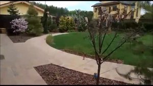 Ландшафтный дизайн участка в пос. Елизарово-парк