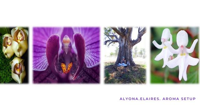 ? Арома-настройка на ДЕЙСТВИЯ, ПРИЛИВ энергии и РАЗВИТИЕ проактивного мышления??? смотреть онлайн