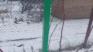 Стойка для малины из профильной трубы на краб системе, плюс агрошпалера.