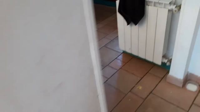 ОЧЕНЬ БОЛЬШОЙ ГРИБ смотреть онлайн