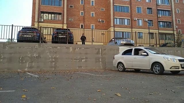 Паркур в ташкенте от Zayid bro смотреть онлайн