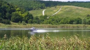 Отчего так в России берёзы шумят?