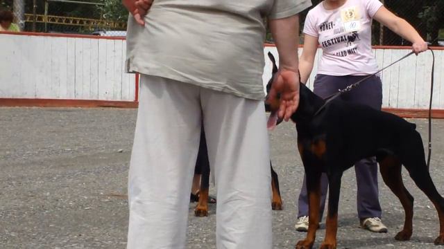 юниоры ч-п кобелимоно курган.MP4 смотреть онлайн