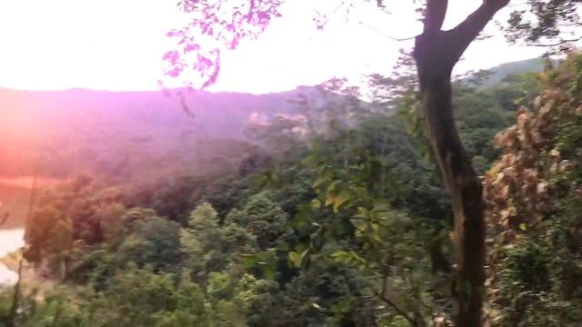 ГОРА ЯНТАЙ | Шеньчжень, Китай [Yangtai Mountain|Shenzhen|China]