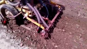 Самодельный культиватор для мотоблока в работе ( чясть 2)
