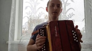 Европейская гармонь "Delicia popular"