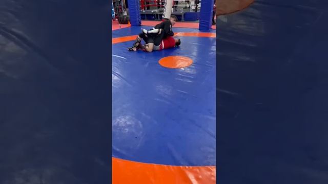 Combat Sambo with Ameur ?