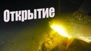 НОЧНАЯ ПОДВОДНАЯ ОХОТА ОТКРЫТИЕ СЕЗОНА!!!