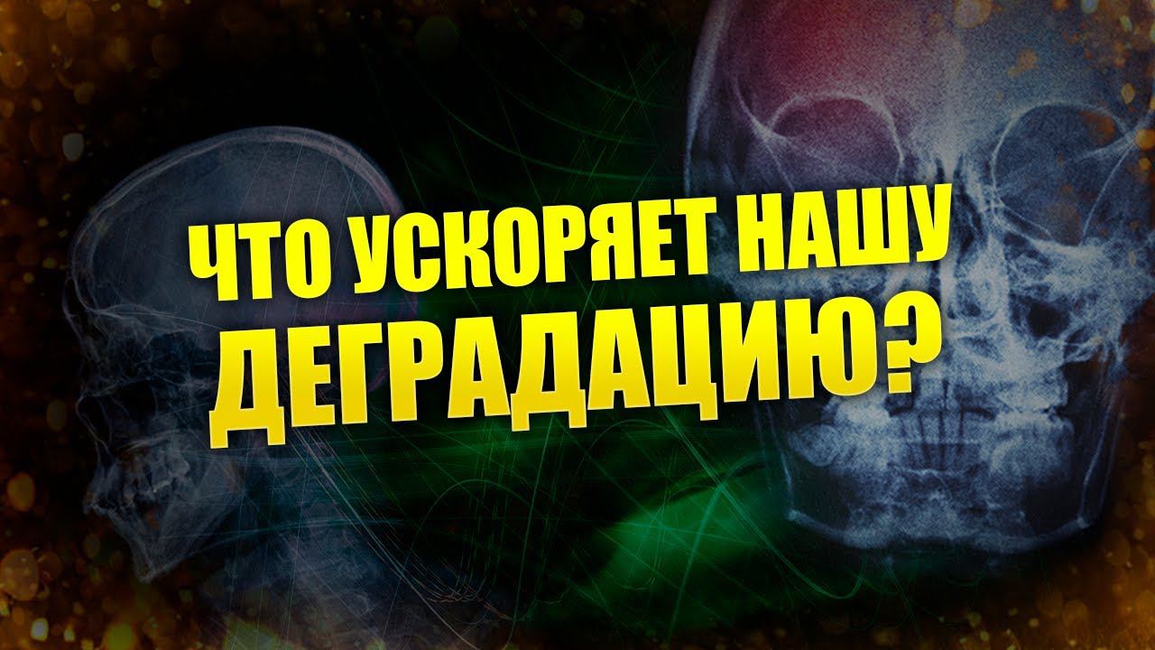 Северный деловой форум "Ливадия" // Выступление Владимира Тюняева